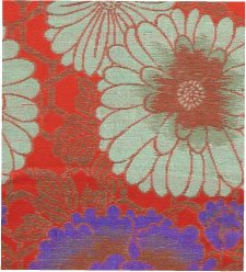 Closeup image of a girl's Obi