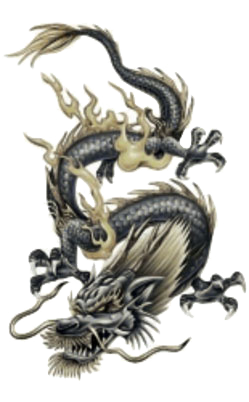 image of dragon